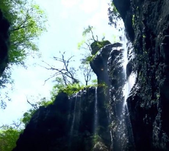青山綠水，白龍江畔江畔息白鷺，兩岸綠橄欖入眼的都是純樸自然枝上花開(kāi)，春來(lái)水暖魚(yú)蝦戲水，鳥(niǎo)語(yǔ)花香心中充滿(mǎn)著舒暢之感祥宇生態(tài)產(chǎn)業(yè)園，位于隴南市武..